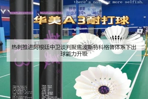 img_1783356491242_331_1_690.jpg